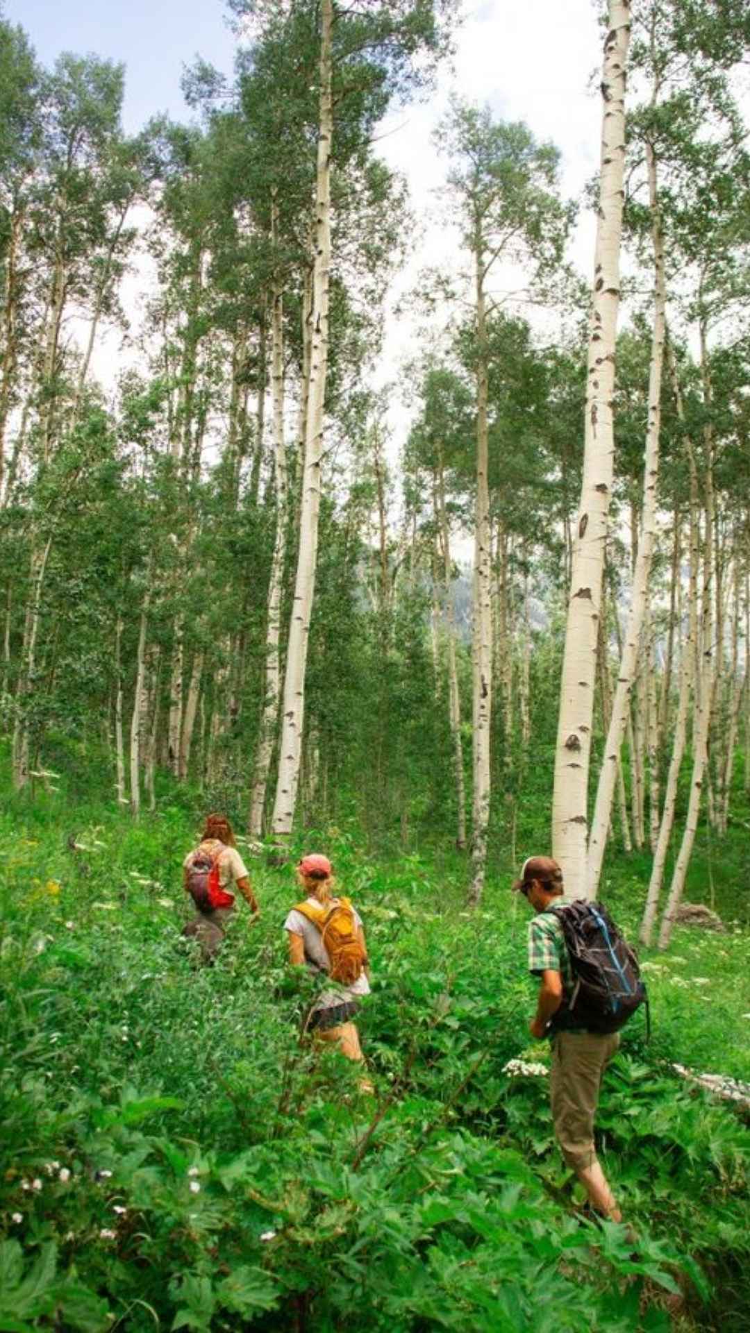 अक्सर जिंदगी में घूमना लोगों