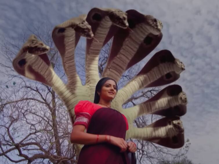 naga panchami serial today december 11th episode written update Naga Panchami Serial December 11th Episode - 'నాగ పంచమి' సీరియల్: నన్ను క్షమించండి మోక్షాబాబు, పంచమి వీడ్కోలు - హోమం దగ్గర ఫణేంద్ర తిప్పలు!