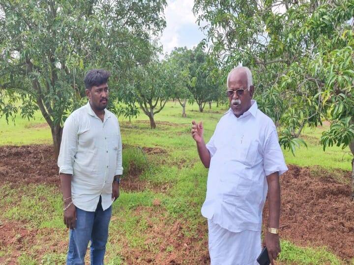 சிவகங்கை காளையார் கோயில் பகுதியில் மா விவசாயம் செய்துவரும் முருகேசன்.