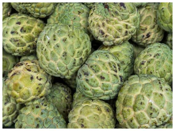 કેન્સર એક ભયંકર રોગ છે, તેનાથી બચવા માટે આપણે આપણી રોજીંદી આદતો અને ખાનપાન સુધારવા જોઈએ.