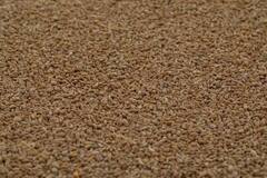 Ajwain Steam: સાદા પાણીના બદલે અજમો નાંખીને લો નાસ, અનેક સમસ્યાઓ થશે દૂર