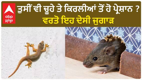 How to Get Rid of Rats and lizard| ਤੁਸੀਂ ਵੀ ਚੂਹੇ ਤੇ ਕਿਰਲੀਆਂ ਤੋਂ ਹੋ ਪ੍ਰੇਸ਼ਾਨ ? ਵਰਤੋ ਇਹ ਦੇਸੀ ਜੁਗਾੜ