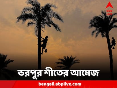 West Bengal Weather: আলিপুর আবহাওয়া দফতর পূর্বাভাসে জানিয়েছে. আগামী কয়েক দিন দক্ষিণবঙ্গে শীতের স্পেল চলবে।