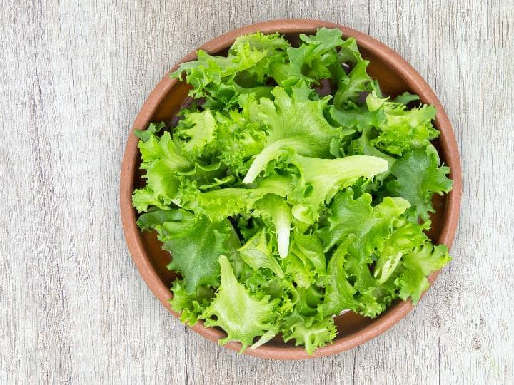 लेट्युस रोगप्रतिकारक शक्ती वाढवण्यासाठी खूप उपयुक्त ठरते. (lettuce leaves benefits in Marathi see photos Salad fayade Uses and Side Effects of lettuce weight loss)