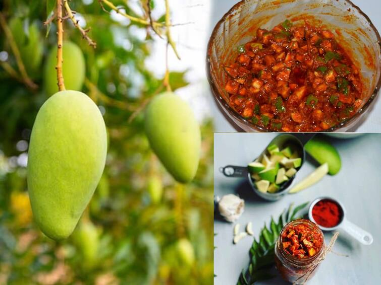 Mango Pickle Recipe in Tamil Know Easy Preparation Methods Mango Pickle: பத்தே நிமிஷம்தான்! ஈசியா செய்யலாம்! நாவில் எச்சில் ஊறும் மாங்காய் ஊறுகாய்!