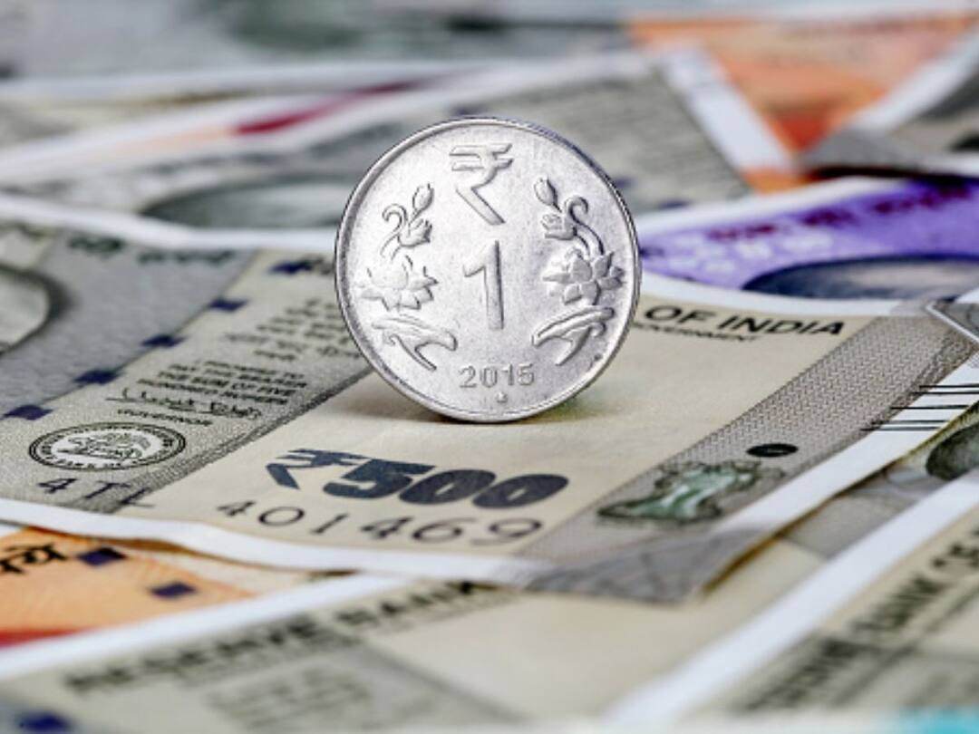 Indians Spending Less Money on food but more on discretionary items see government survey data here Know all details Indians Spending Less Money : खाण्यापिण्यावर तर नाही, मग भारतीय सर्वाधिक पैसे कुठे खर्च करतात? सरकारनं थेट आकडेवारीच मांडली