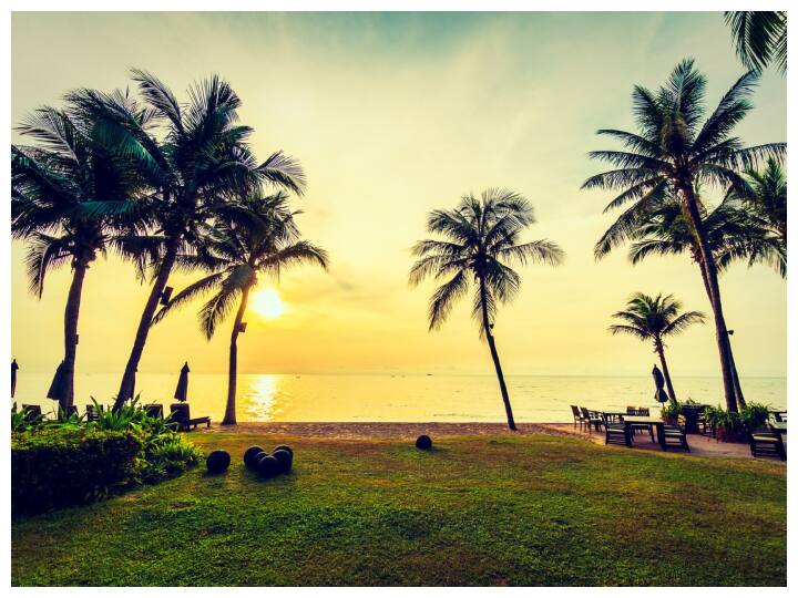 गूगल सर्च के अनुसार इस साल साउथ इंडिया के कुछ पर्यटन स्थल खास लोकप्रिय रहा. ऐसा लगता है लोग अब भीड़ से दूर जाकर शांत और नई जगहें एक्सप्लोर करना चाहते हैं.