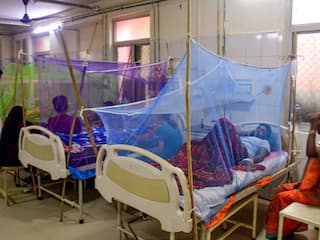 News: છેલ્લા એક સપ્તાહમાં રાજકોટમાં રોગચાળાએ ઉથલો માર્યો, શરદી, તાવ, ડેન્ગ્યૂના નોંધાયા આટલા કેસો