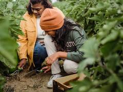 सर्दी में घर के पौधों में डालें ये खास तरह की खाद, खराब नहीं होगी बागवानी