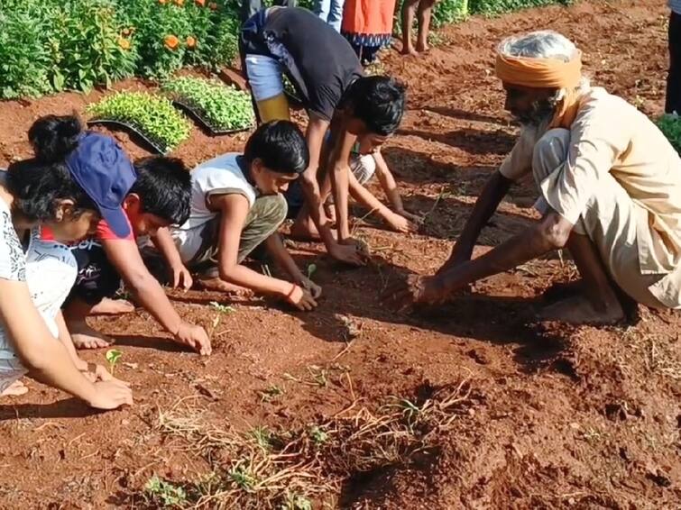 Agriculture news Coimbatore farmer thangavel who teaches organic farming for free TNN இயற்கை விவசாயம் செய்வதை இலவசமாக கற்றுத்தரும் கோவை விவசாயி;  பயிற்சி பெற அறிவித்த அசத்தல் திட்டம்