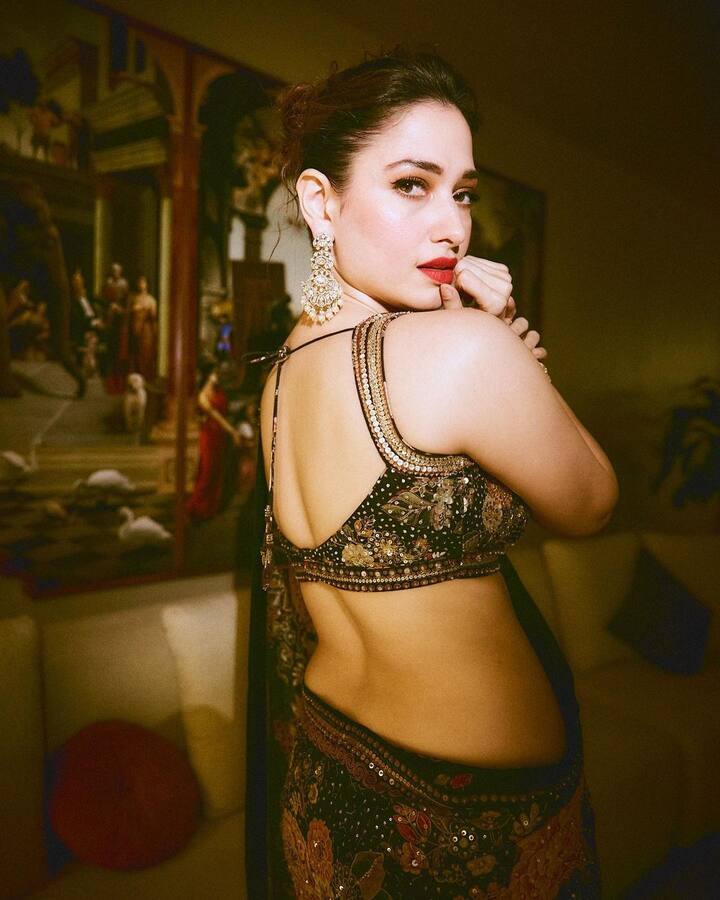 శారీలో తమన్నా బ్యాక్ సైడ్ ఫోజులు (Image Courtesy: tamannaahspeaks / instagram)