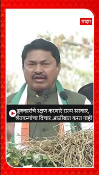 Nana Patole : डुक्करांचे रक्षण करणारे राज्य सरकार; शेतकऱ्यांचा विचार करत नाही - पटोले