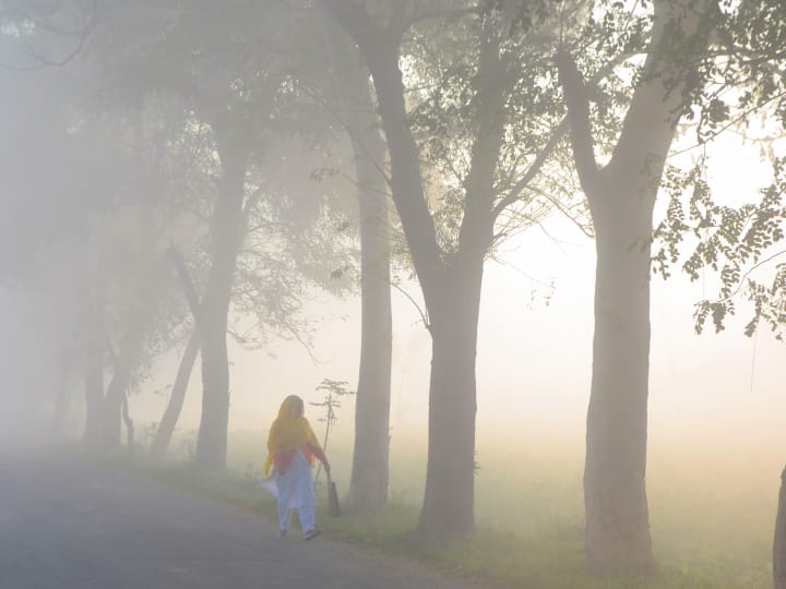 Weather Update Today 13 dec up IMD Forecast fog Lucknow Noida Meerut Ka Mausam UP Weather Today: यूपी में सर्दी और कोहरे का 'डबल अटैक', कई इलाकों में छाई धुंध, 10 से नीचे आया पारा, जानें- मौसम