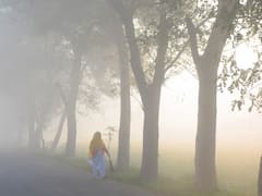 यूपी में सर्दी और कोहरे का 'डबल अटैक', कई इलाकों में छाई धुंध, 10 से नीचे आया पारा, जानें- मौसम