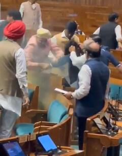 संसद की सुरक्षा में सेंध लगाने वाले शख्स की जमकर हुई धुनाई, देखें तस्वीरें