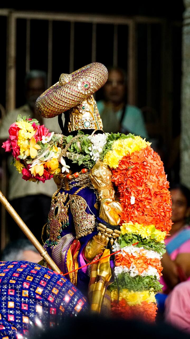 ஸ்ரீ ரங்கநாதரின் பின்புற தோற்றம்