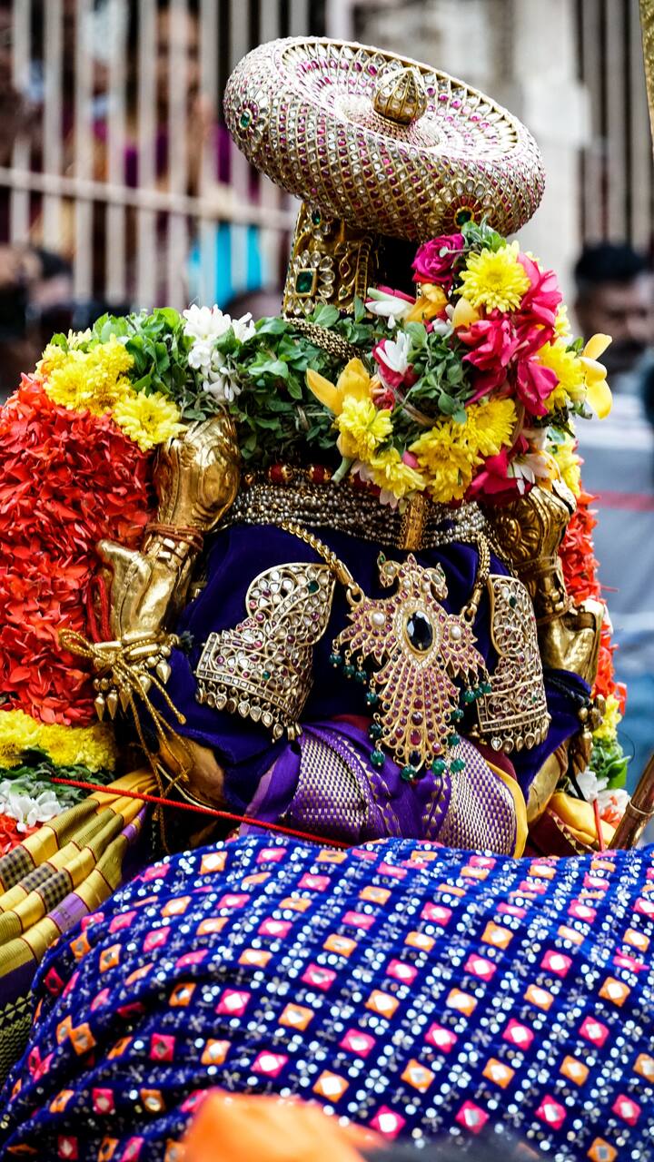 ஸ்ரீ ரங்கநாதர் பெருமாளுக்கு பின்புறம் செய்யப்பட்டுள்ள அலங்காரம்