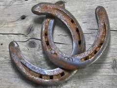 Astrology: રસ્તામાં પડેલી આ ચીજોને ભૂલથી પણ ન કરો સ્પર્શ... જાણો કારણ