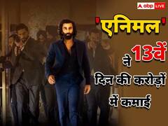 बॉक्स ऑफिस पर कायम है 'एनिमल' का जलवा, रणबीर कपूर की फिल्म ने 13वें दिन की इतने करोड़ की कमाई