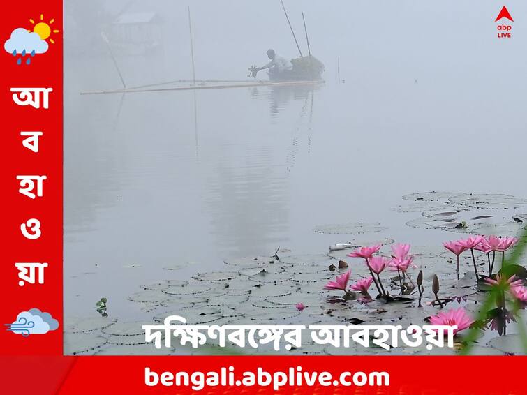 West Bengal weather Update:  South Bengal s Temperatures may drop a bit more, light to moderate fog is also likely  for 14 December 2023 South Bengal Weather: কুয়াশা কেটে উঠবে কি সোনা রোদ ? কেমন থাকবে আগামীকাল দক্ষিণবঙ্গের আবহাওয়া ?