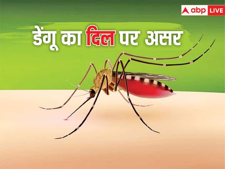 Be alert dengue virus can effects your heart also know what doctors said सावधान! आपके लिवर ही नहीं दिल को भी है डेंगू से 'खतरा', रिसर्च में सामने आई चौंकाने वाली बात