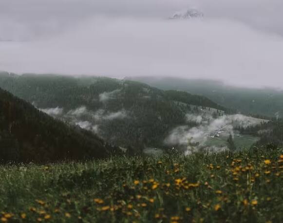 ਮਾਹਿਰਾਂ ਅਨੁਸਾਰ ਜ਼ਿਆਦਾ ਧੁੰਦ ਫਸਲਾਂ ਦਾ ਨੁਕਸਾਨ ਕਰ ਸਕਦੀ ਹੈ। ਇਸ ਸਮੱਸਿਆ ਤੋਂ ਫਸਲ ਨੂੰ ਬਚਾਉਣ ਲਈ ਕਿਸਾਨਾਂ ਨੂੰ ਕੁਝ ਪ੍ਰਬੰਧ ਕਰਨੇ ਪੈਣਗੇ।