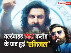 Animal Worldwide Box Office Collection Day 12: दुनिया भर में बवाल काट रही है 'एनिमल', 12वें दिन कर लिया 750 करोड़ का आंकड़ा पार