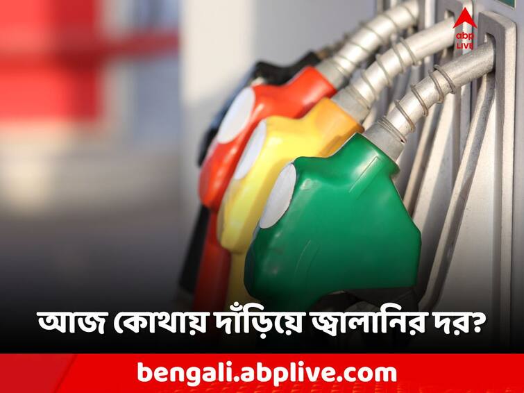 petrol price update diesel price hike, know today petrol Price diesel rate on 13 December 2023 Petrol Price Today: আজ কোথায় দাঁড়িয়ে পেট্রোল-ডিজেল? দাম বাড়ল কোন কোন শহরে?