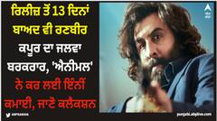 Animal: ਰਿਲੀਜ਼ ਤੋਂ 13 ਦਿਨਾਂ ਬਾਅਦ ਵੀ ਰਣਬੀਰ ਕਪੂਰ ਦਾ ਜਲਵਾ ਬਰਕਰਾਰ, 'ਐਨੀਮਲ' ਨੇ ਕਰ ਲਈ ਇੰਨੀਂ ਕਮਾਈ, ਜਾਣੋ ਕਲੈਕਸ਼ਨ