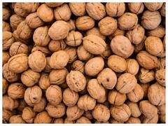 સ્વાસ્થ્યનો ખજાનો છે અખરોટ, શિયાળામાં ખાવાથી તમારું મન તેજ અને શરીર ગરમ રહેશે