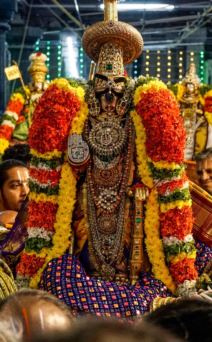 ஸ்ரீ ரங்கநாதர் பெருமாள் பல்லாக்கில் வரும் காட்சி