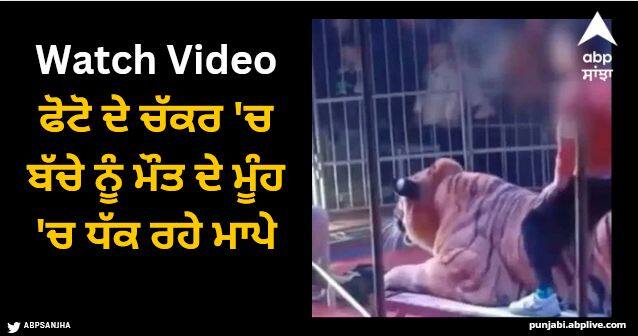 Chinese circus allows children to ride tigers charging rs 235 for photos shocking video viral Viral Video: ਫੋਟੋ ਦੇ ਚੱਕਰ 'ਚ ਬੱਚੇ ਨੂੰ ਮੌਤ ਦੇ ਮੂੰਹ 'ਚ ਧੱਕ ਰਹੇ ਮਾਪੇ, ਕਰਵਾ ਰਹੇ ਡਰਾਉਣੇ ਸ਼ੇਰ ਦੀ ਸਵਾਰੀ