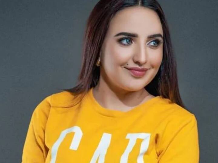 हरीम शाह पाकिस्तान की फेमस सोशल मीडिया इंफ्लूएंसर हैं. उन्हें वहां का बच्चा बच्चा पहचानता है. इंस्टाग्राम पर इनके तीन लाख से ज्यादा फॉलोवर हैं.