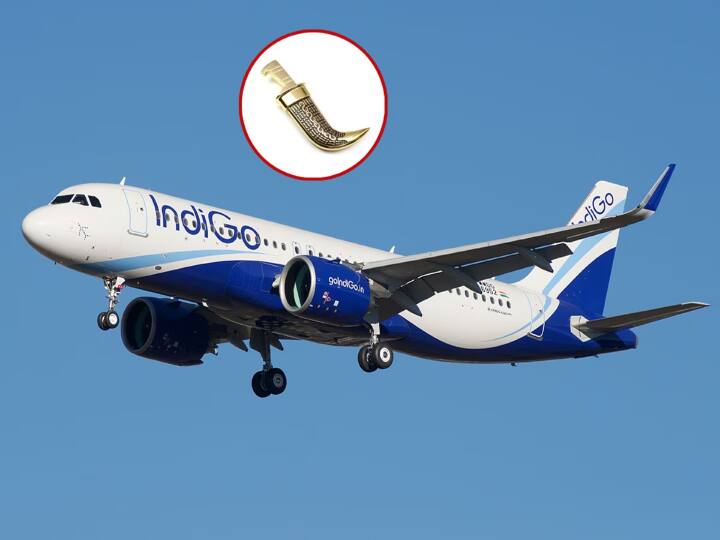 Indigo Airline InterGlobe Aviation Pilot Angad Singh filed petition in Bombay High Court permission to keep Kirpan Bombay High Court: पायलट ने बॉम्बे हाई कोर्ट में दायर की याचिका, उड़ान के दौरान कृपाण रखने की मांगी अनुमति
