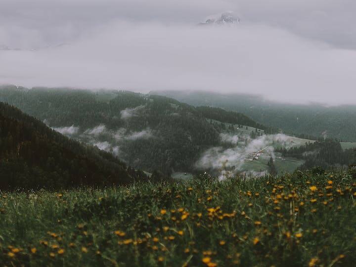 एक्सपर्ट्स की मानें तो ज्यादा कोहरा पड़ने से फसलों को नुकसान पहुंच सकता है. फसल को इस समस्या से बचाने के लिए किसानों को कुछ इंतजाम करने होंगे.