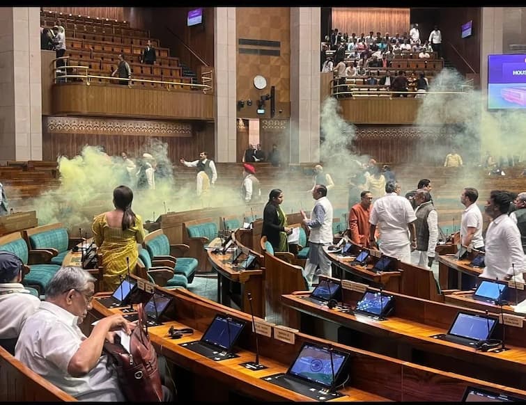 Know what is the smoke cracker, which with  the young man entered the Parliament, where it is used for work abpp Parliament Attack: જાણો શું છે સ્મોક ક્રેકર, જે લઇને યુવક સંસદમાં ઘૂસ્યો, કયાં કામ માટે થાય છે તેનો ઉપયોગ