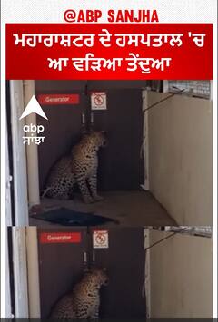 Leopard entered a hospital | ਮਹਾਰਾਸ਼ਟਰ ਦੇ ਹਸਪਤਾਲ 'ਚ ਆ ਵੜਿਆ ਤੇਂਦੁਆ