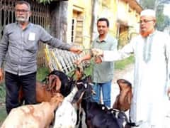 చేయని తప్పునకు మేకలకు జైలు శిక్ష - మేయర్ చొరవతో విడుదల