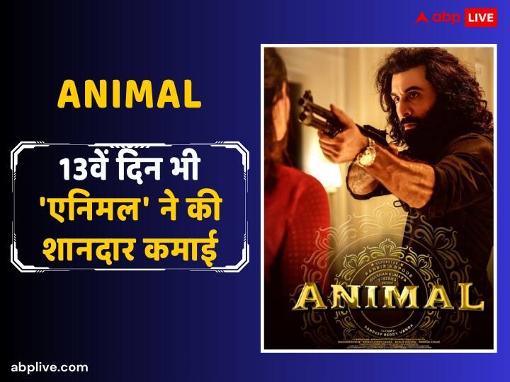 Animal Box Office Collection Day 13 Ranbir Kapoor Film earn 10 crores on Thirteenth Day Second Wednesday Net in India Animal Box Office Collection Day 13: बॉक्स ऑफिस पर जमी हुई है ‘एनिमल’, 13वें दिन तोड़ा 'पठान' और 'दंगल' का रिकॉर्ड, जानें- फिल्म का अब तक का कुल कलेक्शन