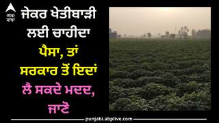 Agriculture: ਜੇਕਰ ਖੇਤੀਬਾੜੀ ਲਈ ਚਾਹੀਦਾ ਪੈਸਾ, ਤਾਂ ਸਰਕਾਰ ਤੋਂ ਇਦਾਂ ਲੈ ਸਕਦੇ ਮਦਦ, ਜਾਣੋ