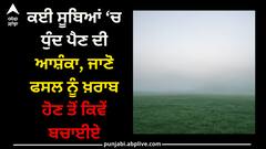 Crops: ਕਈ ਸੂਬਿਆਂ ‘ਚ ਧੁੰਦ ਪੈਣ ਦੀ ਆਸ਼ੰਕਾ, ਜਾਣੋ ਫਸਲ ਨੂੰ ਖ਼ਰਾਬ ਹੋਣ ਤੋਂ ਕਿਵੇਂ ਬਚਾਈਏ