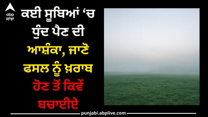 Crops: ਕਿਸਾਨ ਭਰਾ ਸਰਦੀ ਦੇ ਮੌਸਮ ਵਿੱਚ ਆਪਣੀ ਫ਼ਸਲ ਦੀ ਚੰਗੀ ਤਰ੍ਹਾਂ ਦੇਖਭਾਲ ਕਰਨ ਤਾਂ ਜੋ ਉਨ੍ਹਾਂ ਦੀ ਫ਼ਸਲ ਚੰਗੀ ਰਹੇ ਅਤੇ ਝਾੜ ਵੀ ਵਧੀਆ ਰਹੇ।