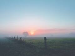 कई राज्यों में ज्यादा कोहरे पड़ने की आशंका, जानिए फसल को खराब होने से कैसे बचाएं