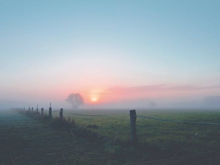 सर्दी का सितम अब बढ़ने लगा है. सुबह के वक्त कोहरा देखने को मिल रहा है. वहीं, मौसम विभाग ने भी दिसंबर के आखिरी और जनवरी के शुरुआत में उत्तर भारत के कई राज्यों में अधिक कोहरा पड़ने की आशंका जताई है. लेकिन किसानों पर इसका क्या असर पड़ेगा, आइए जानते हैं.