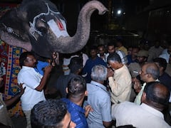 Chandrababu Naidu on AP Elections : శ్రీపెరంబుదూరు Ramanujar temple లో చంద్రబాబు పూజలు | ABP Desam