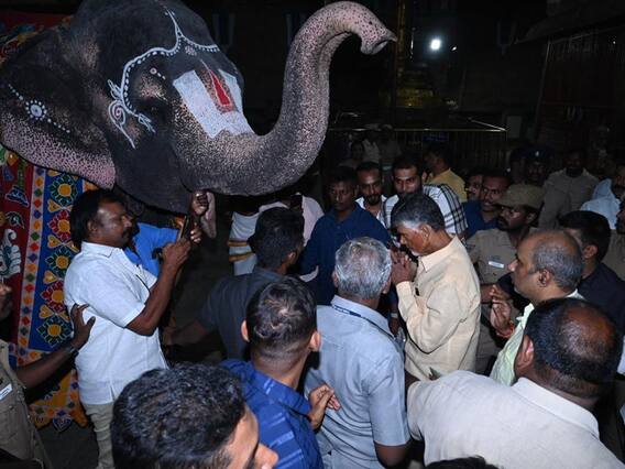 Chandrababu Naidu on AP Elections : శ్రీపెరంబుదూరు Ramanujar temple లో చంద్రబాబు పూజలు | ABP Desam