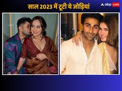 Year Ender 2023: किसी का हुआ तलाक...तो किसी ने झेला ब्रेकअप का दर्द, साल 2023 इन जोड़ियों के लिए रहा बेहद खराब