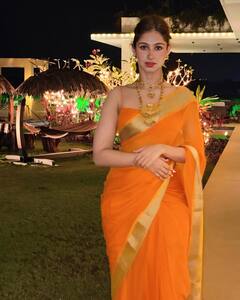 Star Kids Debut Expected In 2024 : इब्राहिम अली खानपासून राशा थडानीपर्यंत हे स्टार किड्स 2024 मध्ये बॉलिवूडमध्ये पदार्पण करू शकतात...