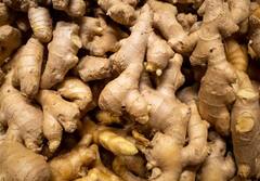 Herbs To Control Cholesterol: મુસીબત બની રહ્યું છે વધી રહેલું કોલેસ્ટ્રોલ, આ 5 નેચરલ હર્બ્સ કરશે લેવલનું કંટ્રોલ