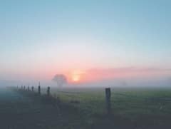 Crops: ਕਈ ਸੂਬਿਆਂ ‘ਚ ਧੁੰਦ ਪੈਣ ਦੀ ਆਸ਼ੰਕਾ, ਜਾਣੋ ਫਸਲ ਨੂੰ ਖ਼ਰਾਬ ਹੋਣ ਤੋਂ ਕਿਵੇਂ ਬਚਾਈਏ